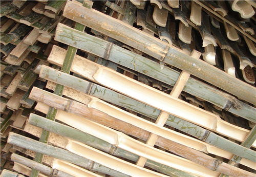 南陽竹笆廠家圣卓建材 專業(yè)打造優(yōu)質建筑竹笆材料
