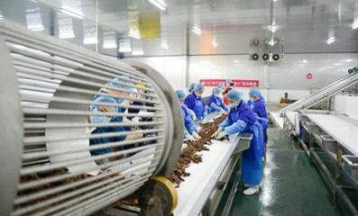 科技賦能鮮味體驗 每日優(yōu)鮮小龍蝦節(jié)開啟，超聲技術(shù)驅(qū)動生鮮開發(fā)新篇章