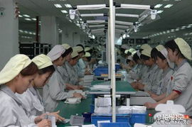 正隆紙品廠暑期工招聘信息詳情與求職指南
